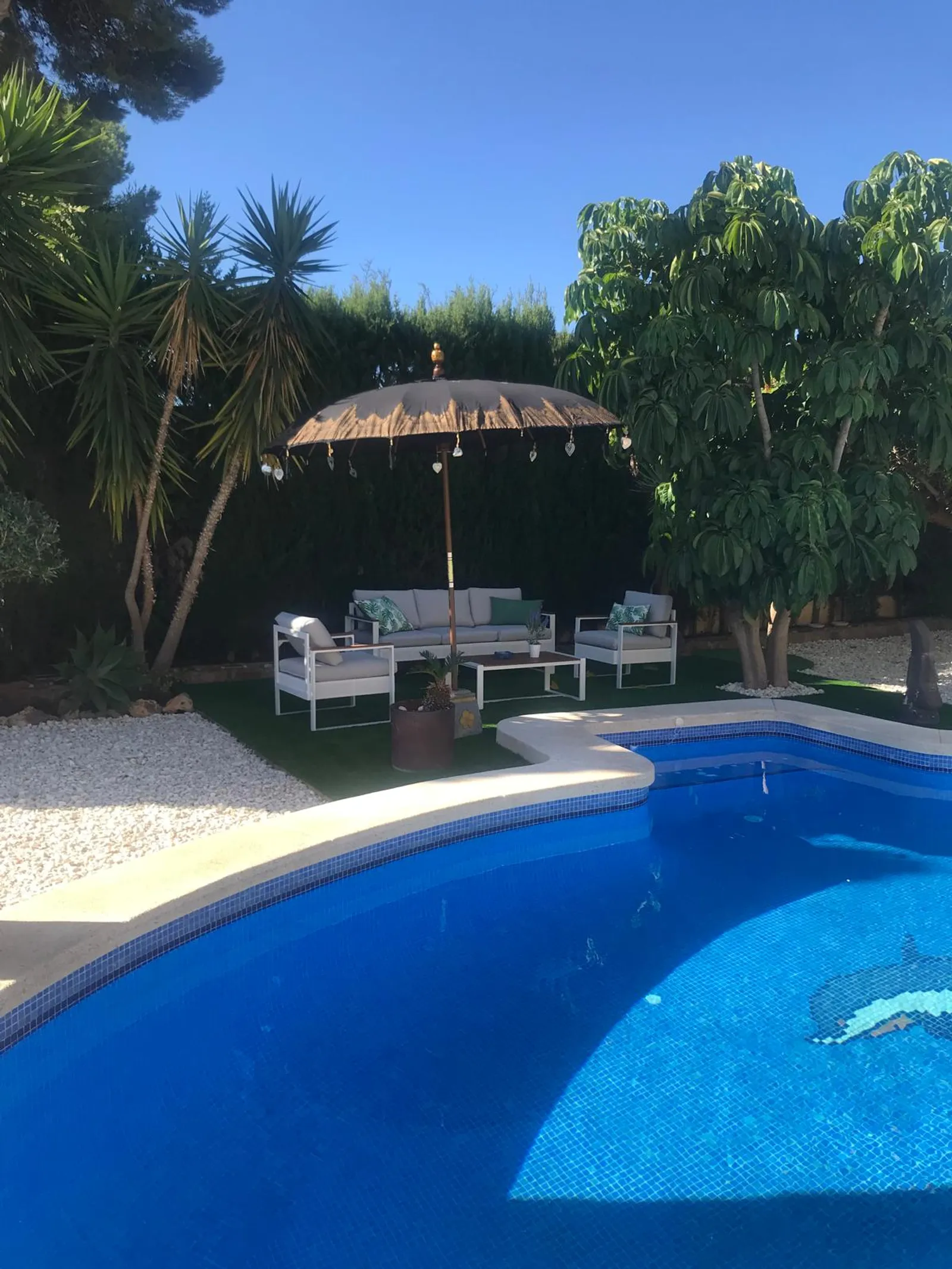 Piscina rodeada de jardín con palmeras en el chalet de Pueblo Levante